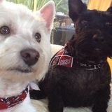 Entry image for Willis and Rosemary McClinton