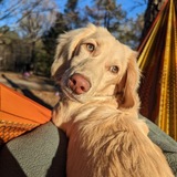 Entry image for Milo 