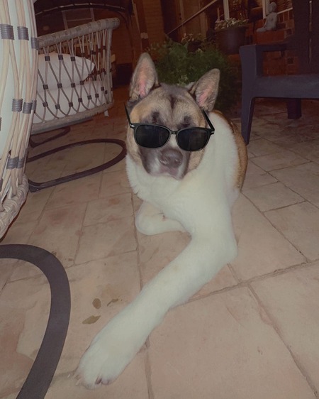 Entry image for Daki. Clicking this image will show a larger photo