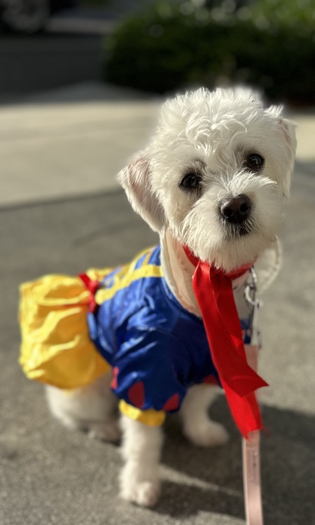 Entry image for Daphne. Clicking this image will show a larger photo