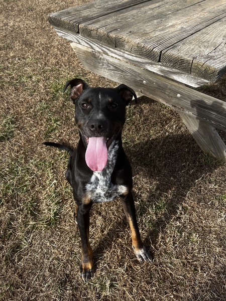 Entry image for Soap. Clicking this image will show a larger photo