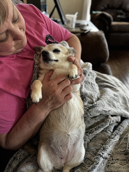 Entry image for Bubbles. Clicking this image will show a larger photo