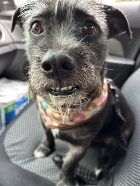 Entry image for Bruno Mars. Clicking this image will show a larger photo