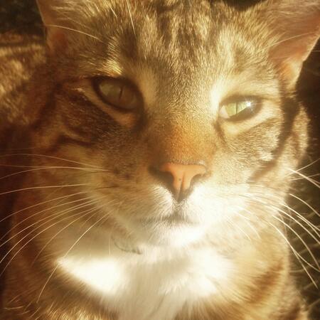 Entry image for Luke. Clicking this image will show a larger photo