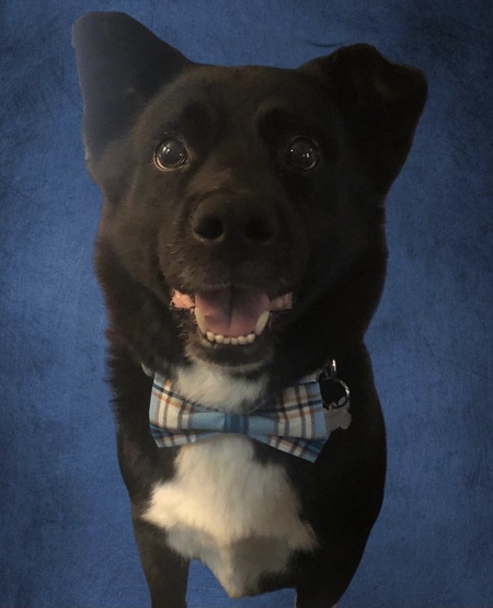 Entry image for Trevor . Clicking this image will show a larger photo