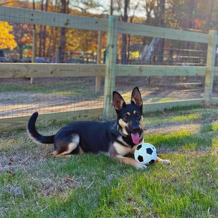 Entry image for Tessa. Clicking this image will show a larger photo