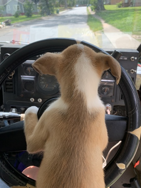 Entry image for Trouble . Clicking this image will show a larger photo