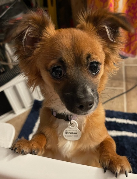 Entry image for Nina. Clicking this image will show a larger photo