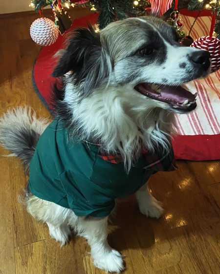 Entry image for Journey . Clicking this image will show a larger photo