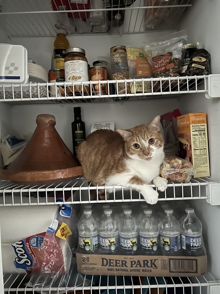 Entry image for Sahara. Clicking this image will show a larger photo