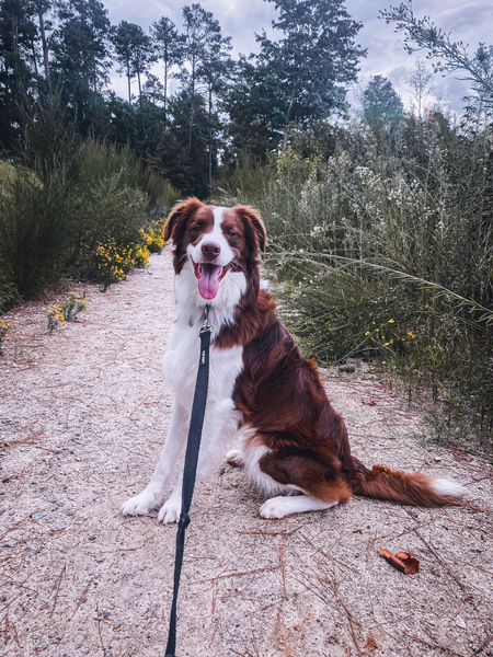 Entry image for Hero. Clicking this image will show a larger photo