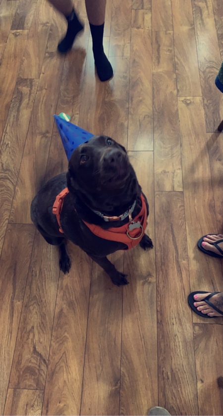 Entry image for Lucy-Mae. Clicking this image will show a larger photo