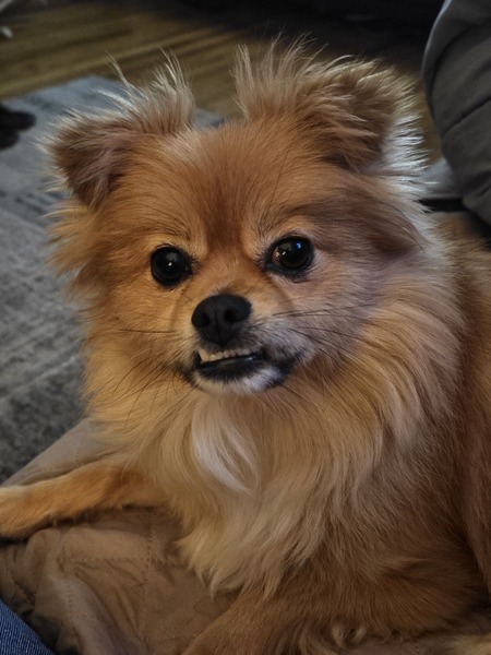 Entry image for Chase. Clicking this image will show a larger photo