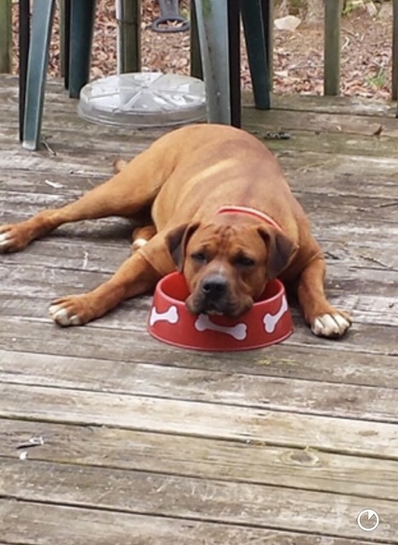 Entry image for RedMan. Clicking this image will show a larger photo