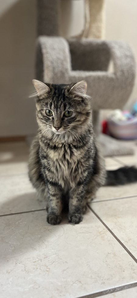 Entry image for Cuddles . Clicking this image will show a larger photo