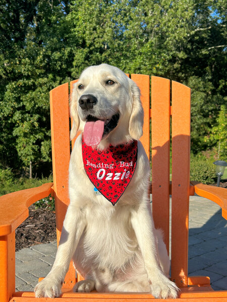 Ozzie