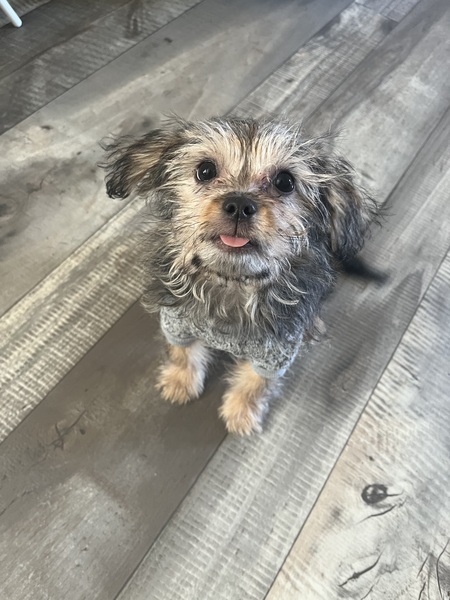 Cosmo 
