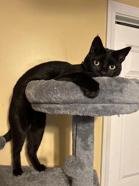 Binx