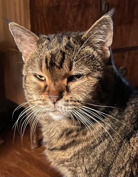 Charley Pickle Loaf Lee