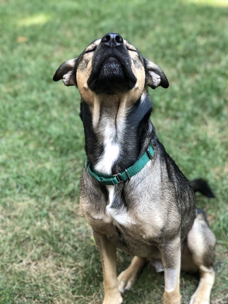 Obi Wan Kenobi