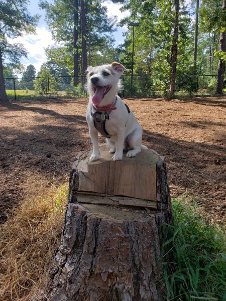 Tilly Mama