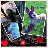 Entry image for Tootsie and Elvira