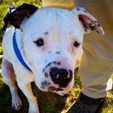 Entry image for Sully