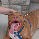 Entry image for Dante Allegany