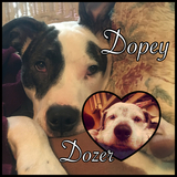 Entry image for Dopey & Dozer