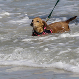 Entry image for Chloe