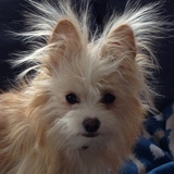 Entry image for Lulu