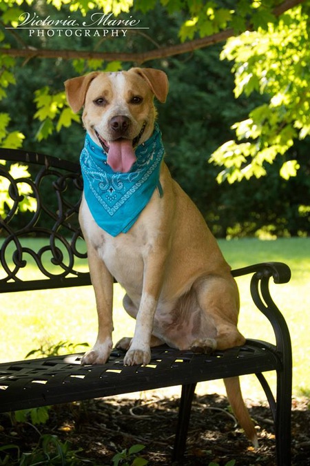 Entry image for Junebug. Clicking this image will show a larger photo