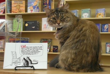 Entry image for Alice . Clicking this image will show a larger photo