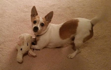 Entry image for Rudy. Clicking this image will show a larger photo