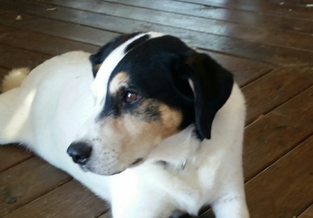 Entry image for Oakley. Clicking this image will show a larger photo