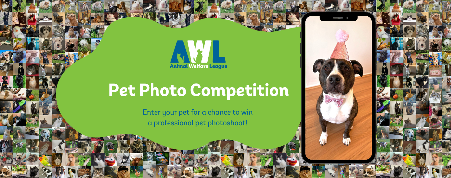 Banner for Animal Welfare League Pet Photo Competition