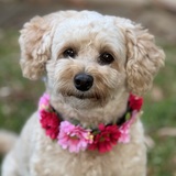 Entry image for Winnie