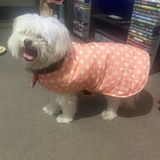 Entry image for Charlie or Charles Bentley