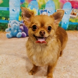 Entry image for Charley
