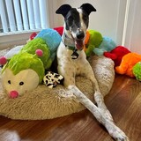 Entry image for Milky
