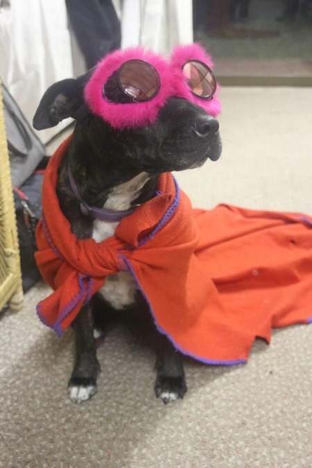 Entry image for Macey . Clicking this image will show a larger photo
