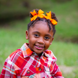 Entry image for Ally