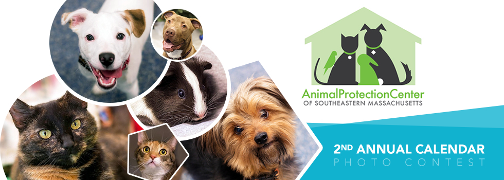 Banner for Animal Protection Center 2nd Annual Calendar Photo Contest