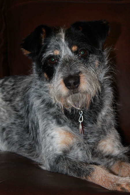 Entry image for Molly Fraser. Clicking this image will show a larger photo
