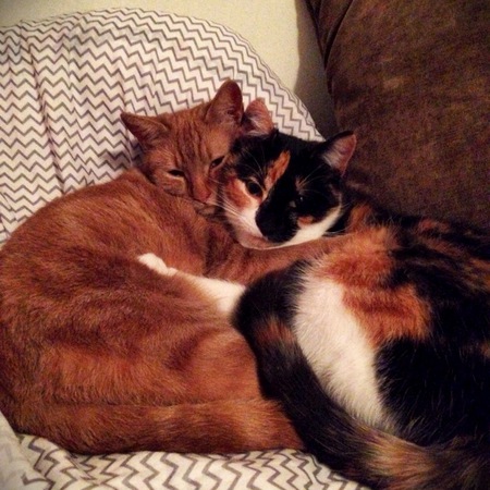 Entry image for Mama and Ari. Clicking this image will show a larger photo