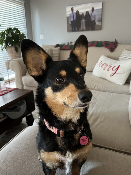 Tessie