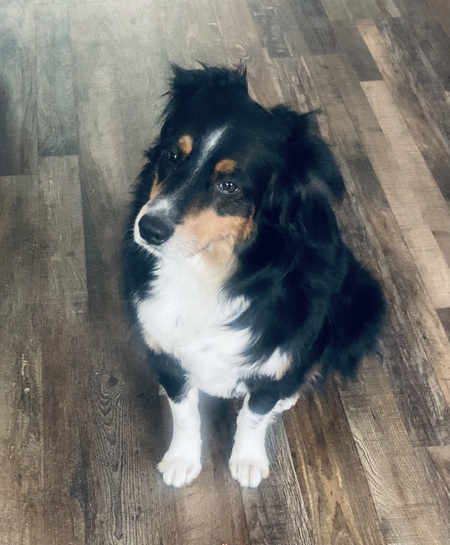 Ted