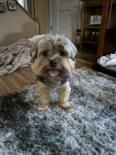 Sophie 