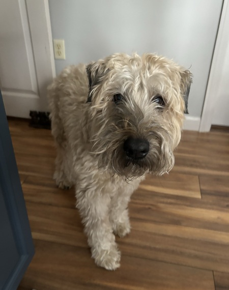 Oakley
