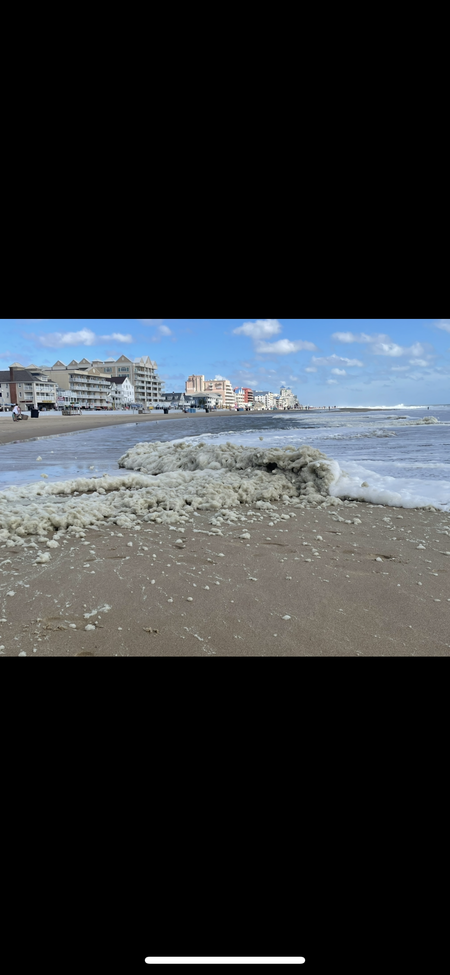 Sea Foam 